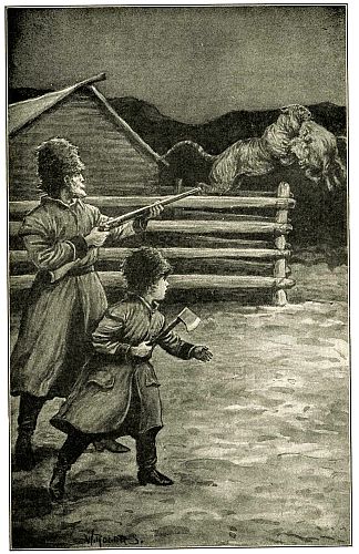 Amazingly unlikely picture of tiger jumping out of corral fence that is not seven feet tall with a full grown ox in his teeth. Ox looks quite calm about it. Man is holding rifle and boy holding a hatchet