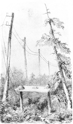 Fig. 1.—Newfoundland Telegraph Station, 1855.