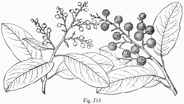 Fig. 713