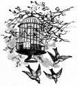 birds leaving cage