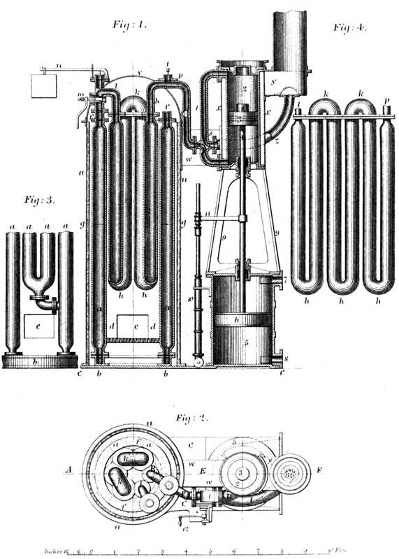 PLATE 17