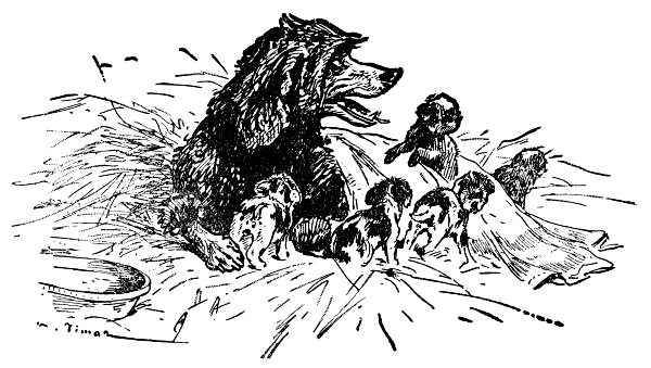 Mrs. Lewis' dog with five puppies
