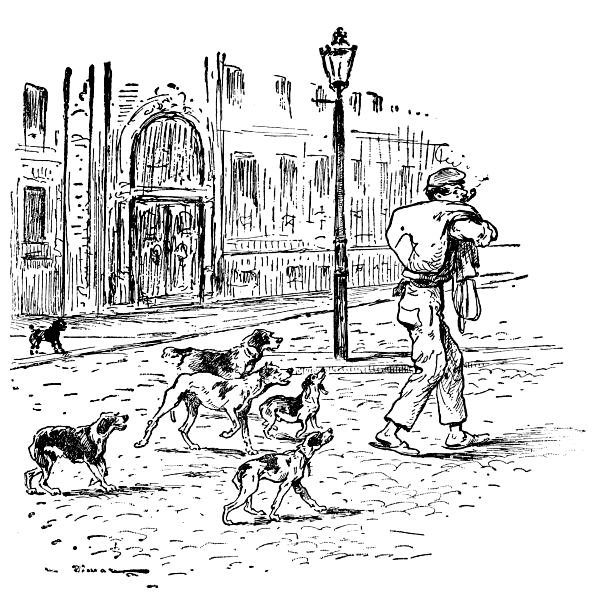 Dogs following man with parcel