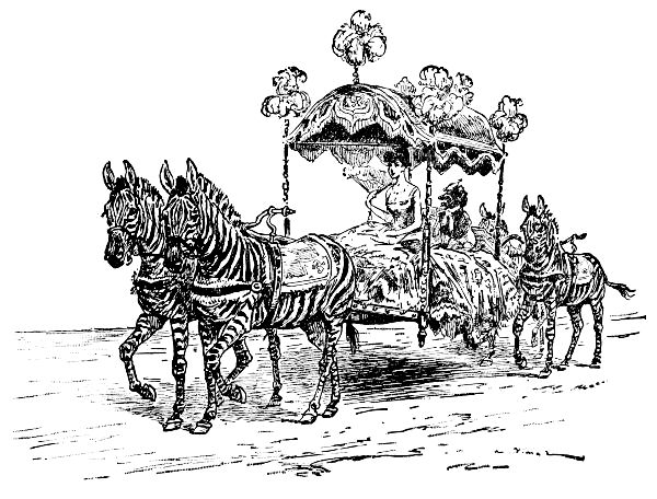 Zebras with palanquin