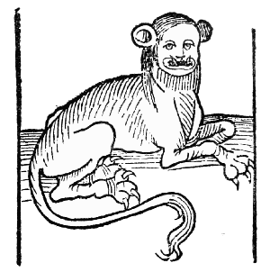 Text-fig. 8. “Leopardus”