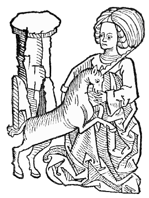 Text-fig. 17. “Unicornus”