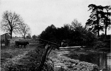 The vicinity where Mr. Howells lived his “Year in a Log Cabin.” The cabin stood near the two pines