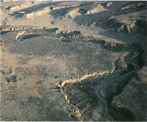 Overgrazing has made the Rio Puerco Basin of central New Mexico one of the most eroded river basins of the American West and has increased the high sediment content of the river (photograph by Terrence Moore).