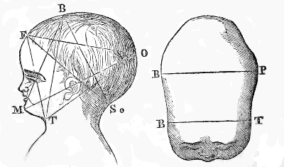 Diameters of the Head