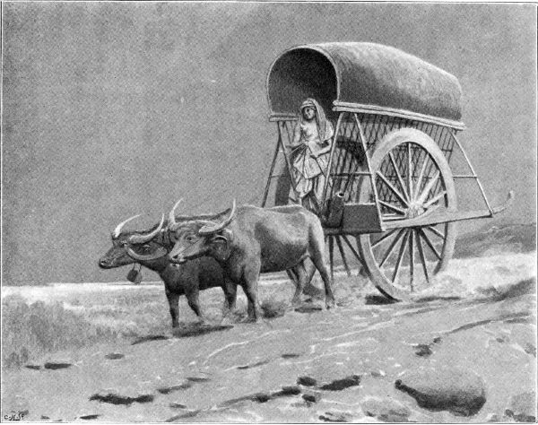 A BUFFALO CART.