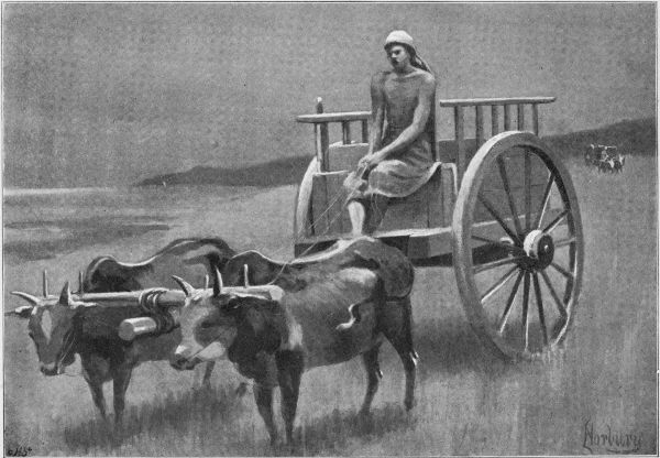 A SIAMESE BULLOCK CART.