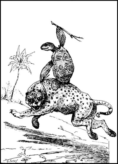 Mr. Turtle makes a riding-horse of Mr. Leopard.