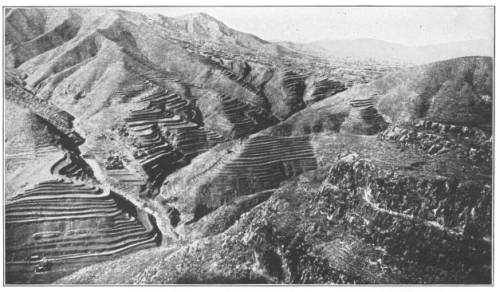 Rice Terraces in China. In many regions where the forests have been destroyed and all the soil washed into the valleys, agriculture has to be carried on under conditions of great difficulty. Soil is brought up these slopes and held there by the artificially made terraces. (Photo by Bailey Willis. Courtesy of Brooklyn Botanic Garden.)