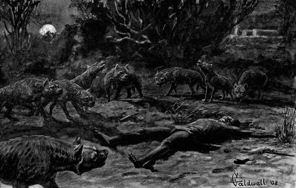 Hyænas observing a human corpse.