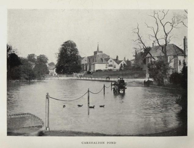 CARSHALTON POND