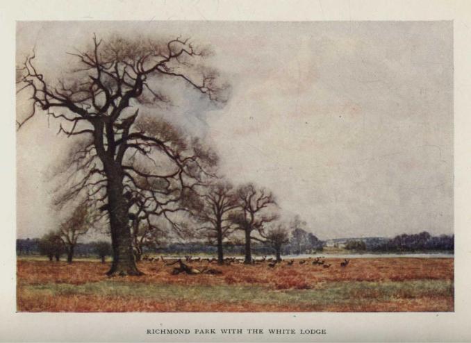 RICHMOND PARK WITH THE WHITE LODGE