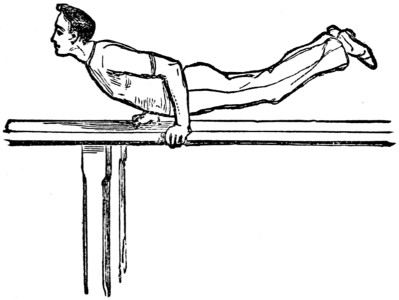 parallel bars