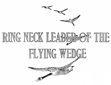 RING NECK LEADER OF THE FLYING WEDGE