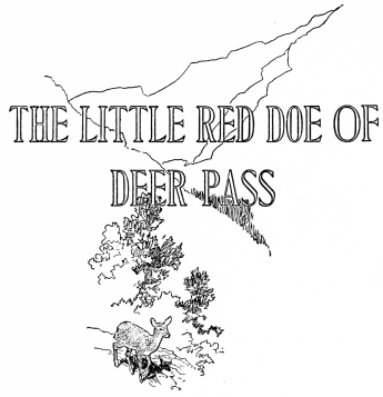 THE LITTLE RED DOE OF DEER PASS