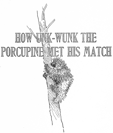 HOW UNK-WUNK THE PORCUPINE MET HIS MATCH