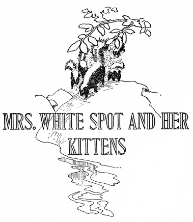 MRS_WHITE-SPOT_AND_HER_KITTENS