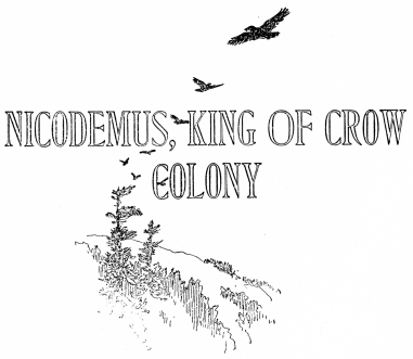 NICODEMUS, KING OF CROW COLONY