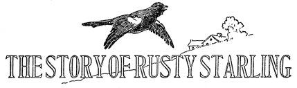 THE STORY OF RUSTY STARLING