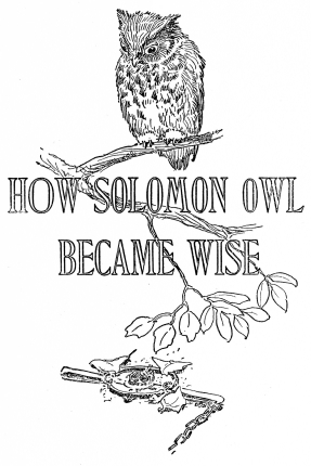 HOW SOLOMON OWL BECAME WISE