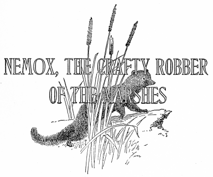 NEMOX, THE CRAFTY ROBBER OF THE MARSHES