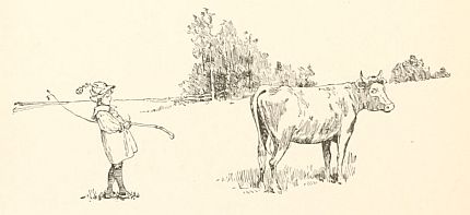 boy with stick walking behind cow