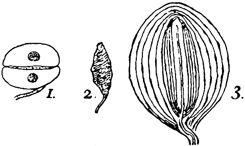 Fig. 23