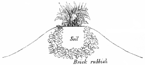 Image not available: Section of raised bed at Battersea, with brick-rubbish beneath and around the soil.