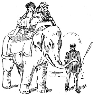 Elephant ride