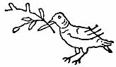 dove with branch in beak