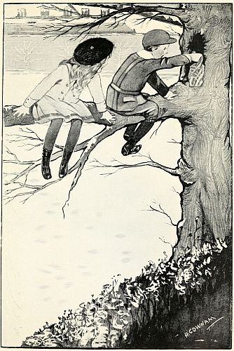 children on branch in tree, boy reaching into hole in trunk