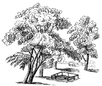 A SPRING IN THE PARK, 1794.  Page 65.  