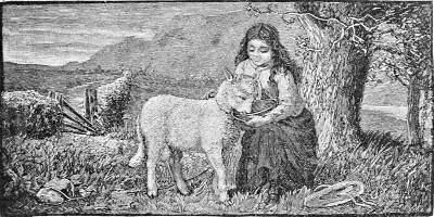 Little girl feeding a lamb from a dish