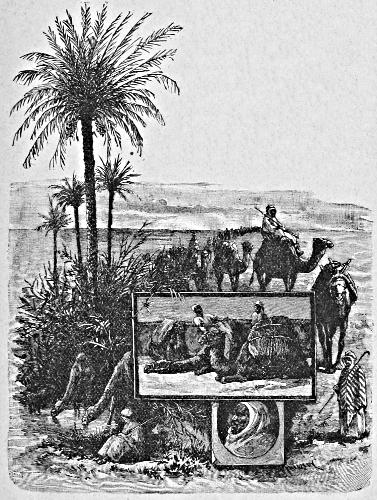 A camel train arriving at a desert oasis, surrounded by palm trees