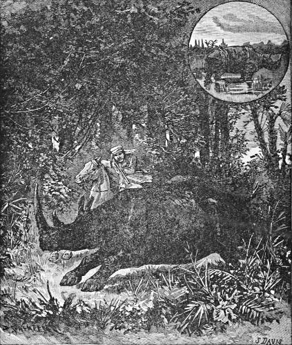 Depiction of the hunt described by the famous traveller