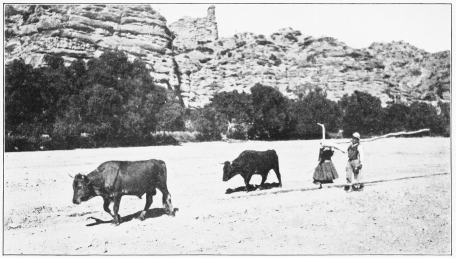 Image unavailable: A QUICHUA FAMILY GOING TO PLOW