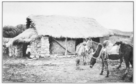 Image unavailable: THE HUT NEAR PAUCARA