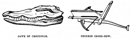 Image unavailable: JAWS OF CROCODILE. CHINESE CROSS-BOW.
