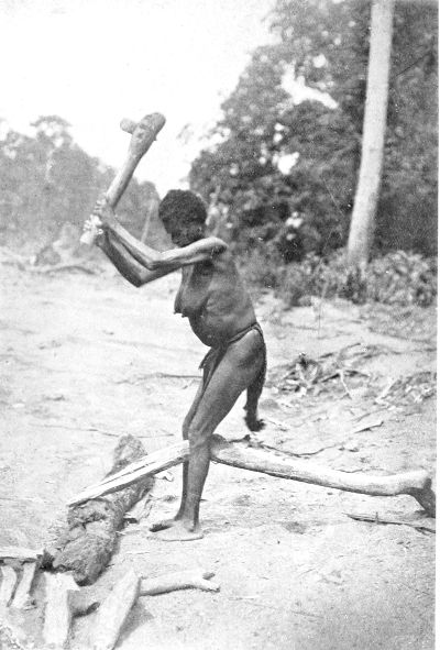 SPLITTING WOOD WITH A STONE AXE.