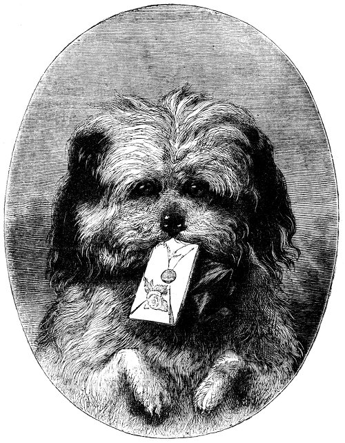 Dog with envelope