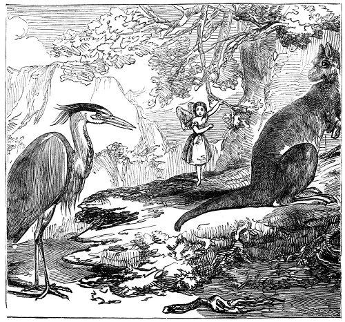 Child, stork, and kangaroo