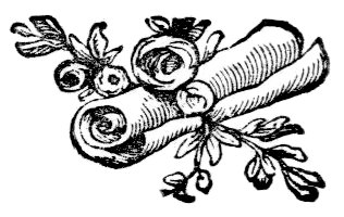 Flowers and scroll