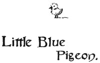 Image unavailable: Little Blue Pigeon.