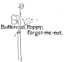 Image unavailable: Buttercup, Poppy, Forget-me-not.