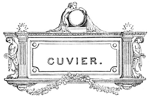 CUVIER.