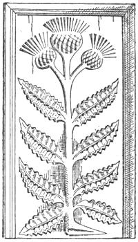 Representation of a thistle